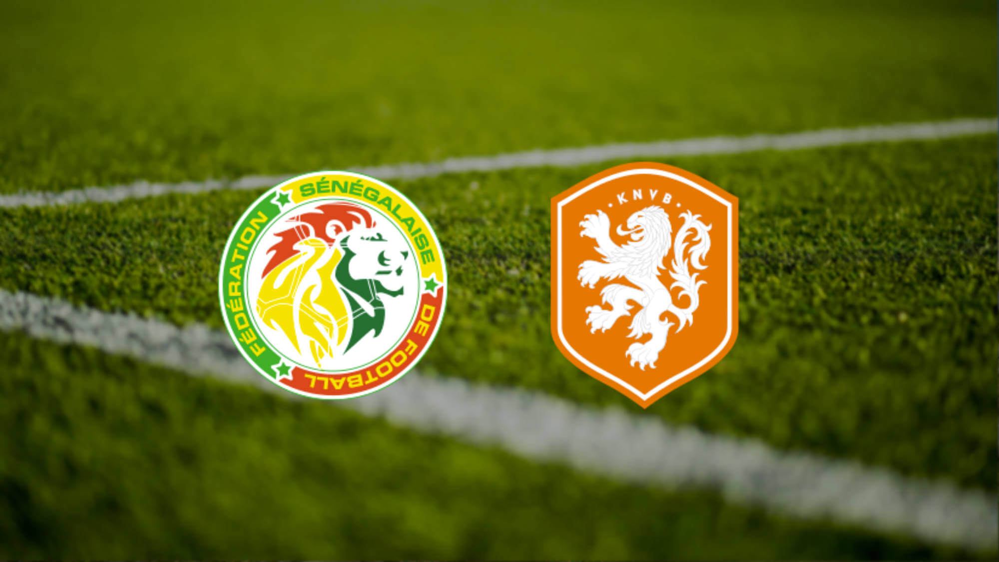 WK 2022: Senegal - Nederland